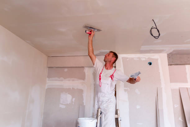 Best Drywall Installation  in Fairfield, IL